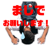 213265152