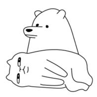 213297817