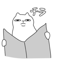 213297836