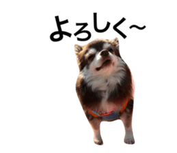 21343035