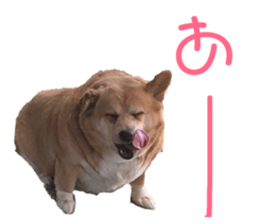 213430697