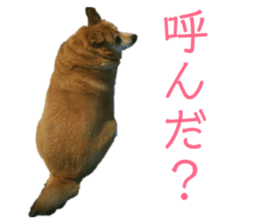 213430709