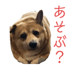 213430711