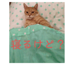 213430719