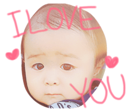 21344719