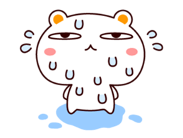 21349050