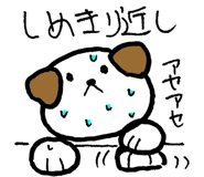 21353203
