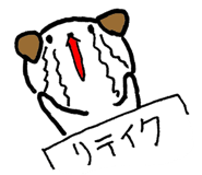 21353205