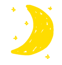 213616446