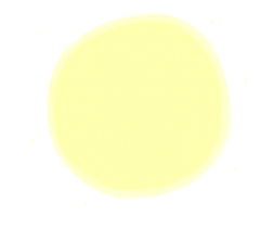 213616453