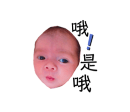 213643413