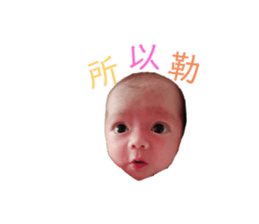 213643437
