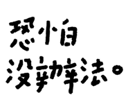 213775429