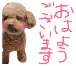 21408201