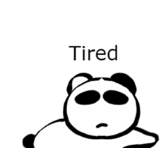 21410985