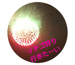 214212371