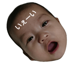 21425062