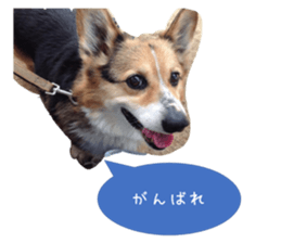 214484236