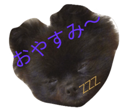 21448676