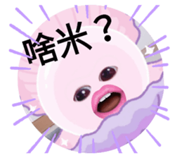 214490519