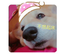 214531111