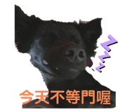 214763243