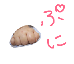 21489497