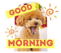 214996210