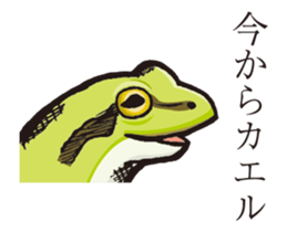 21527065