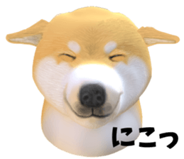 215409241