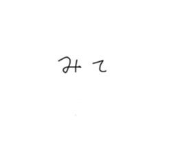 215537736