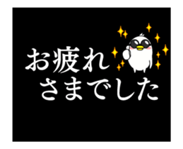 215588337