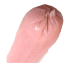 21561288
