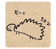 215782505