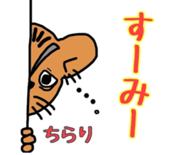 2158034