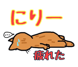 2158055