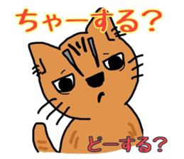 2158067