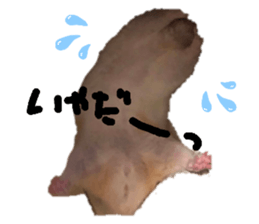 215821014