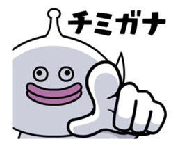 21584946