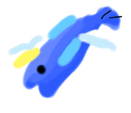 216107437