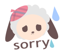 216269