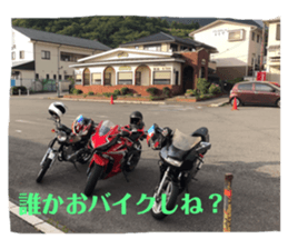 216357475