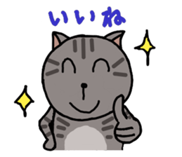2164388