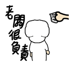 21646276