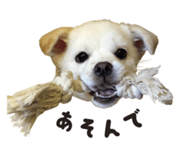 216546924