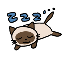 216551