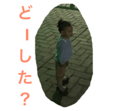 216633041