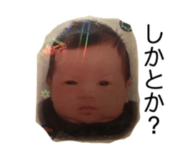 216633042