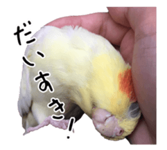 21682001