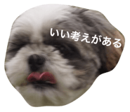 21699054